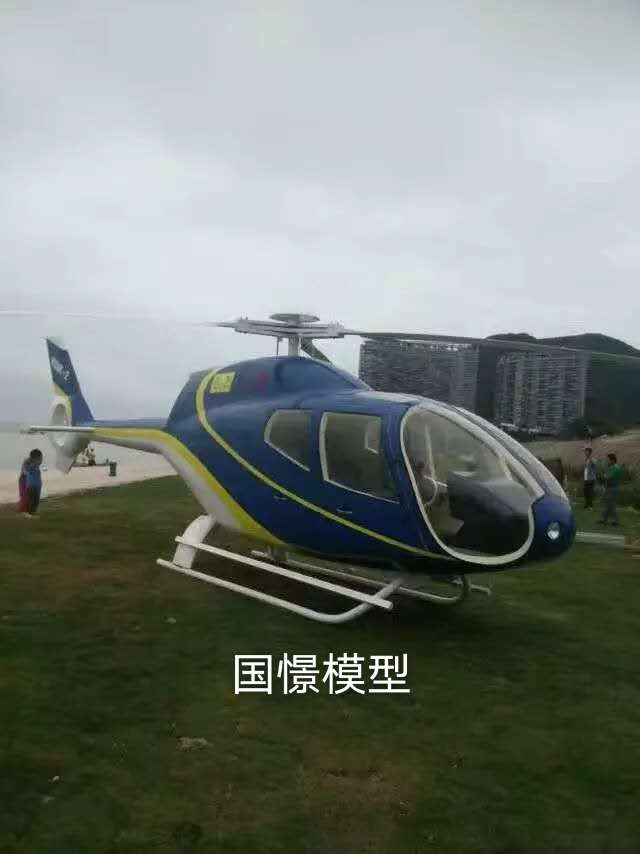 和平区飞机模型